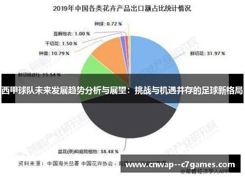 西甲球队未来发展趋势分析与展望：挑战与机遇并存的足球新格局