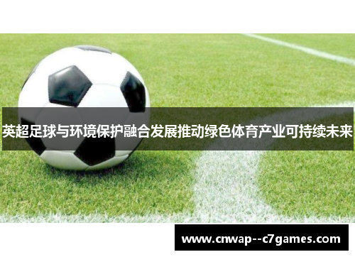 英超足球与环境保护融合发展推动绿色体育产业可持续未来